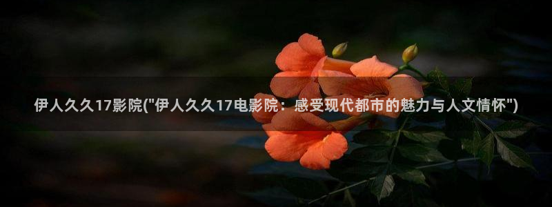 伊人成仁综合网视频：伊人久久17影院(\