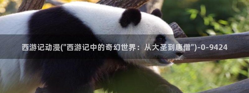 中国动漫