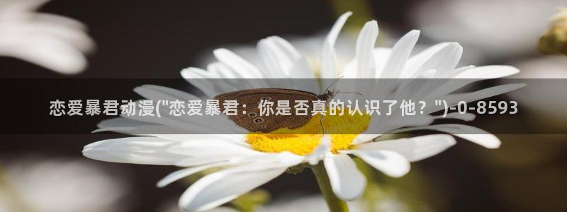 穿越动漫