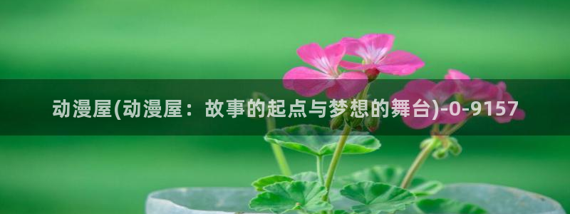 动漫免费在线观看