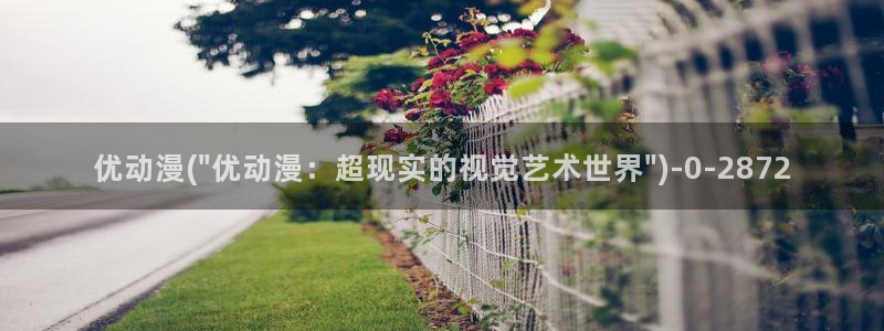 完美世界动漫