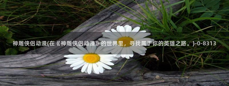 壁纸动漫